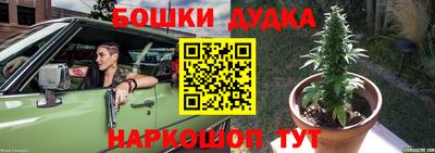 ПСИЛОЦИБИНОВЫЕ ГРИБЫ Нарткала